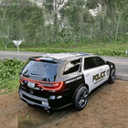 Symbol von US Police Prado Parking 3D